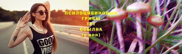 марки lsd Алзамай