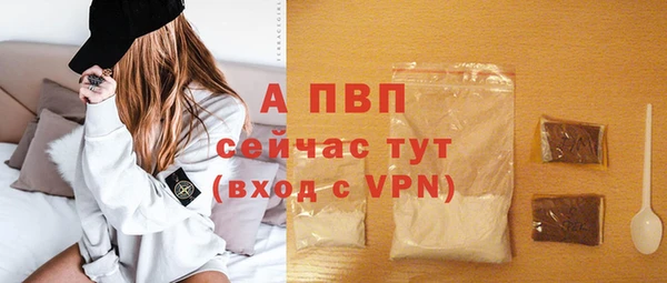 стафф Алексин