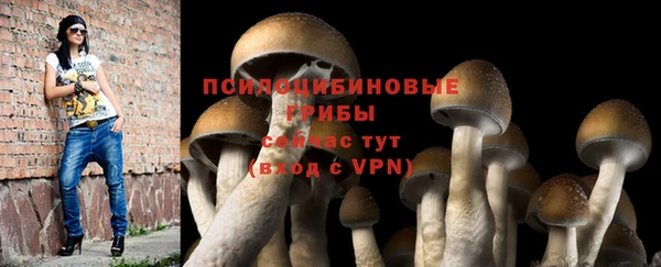 марки lsd Алзамай
