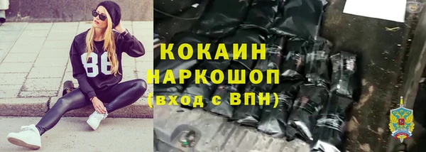 стафф Алексин