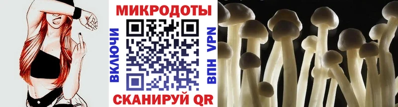 Псилоцибиновые грибы прущие грибы  Лесосибирск 